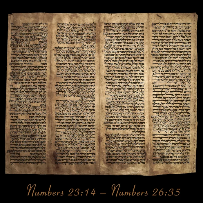 Torah Scroll - Antique Sephardic Torah Fragment Handwritten, Numbers 23:14 – Numbers 26:35