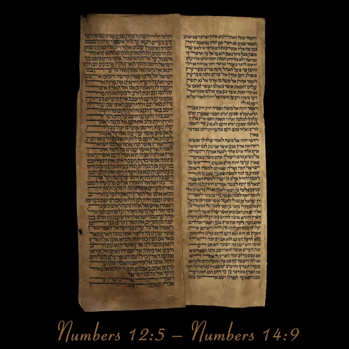 Torah Scroll - Antique Sephardic Torah Fragment Handwritten, Numbers 12:5 – Numbers 14:9