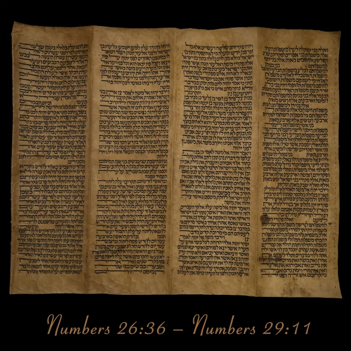 Torah Scroll - Antique Sephardic Torah Fragment Handwritten, Numbers 26:36 – Numbers 29:11