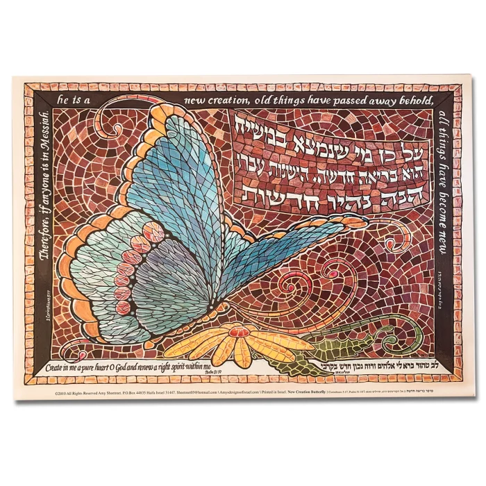 Art Print - New Creation Butterfly, medium
