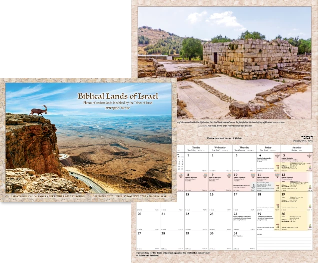 bloi